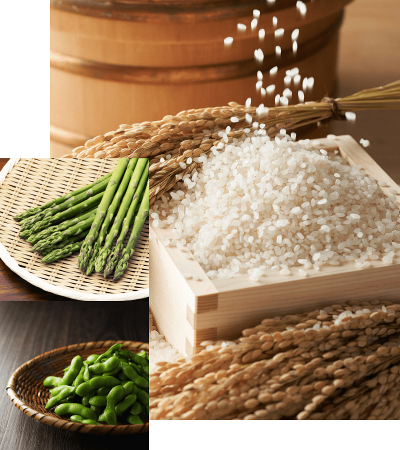 越後上越の広大な大地で収穫できる作物