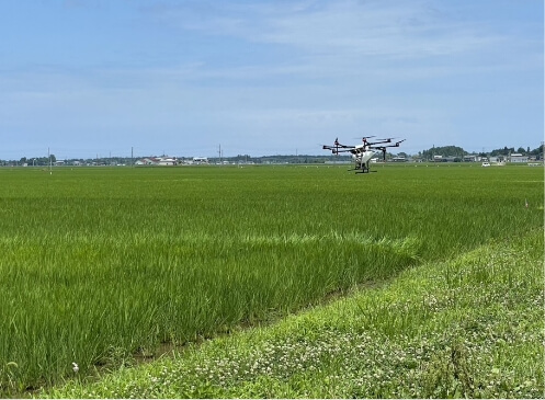 ドローンで農薬散布中