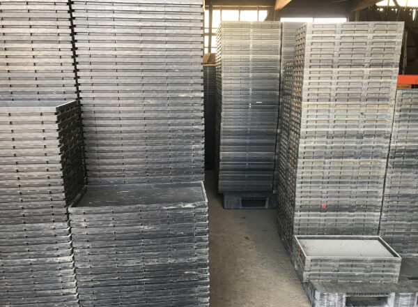 ２. 播種（はしゅ）