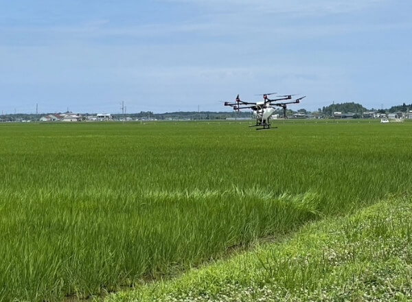 10. 病害虫・雑草対策