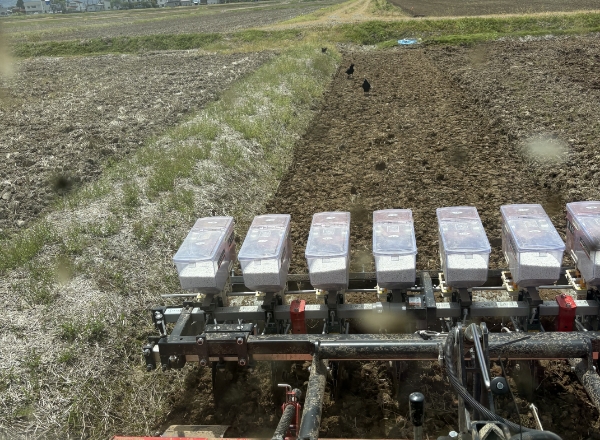 ３. 播種（はしゅ）