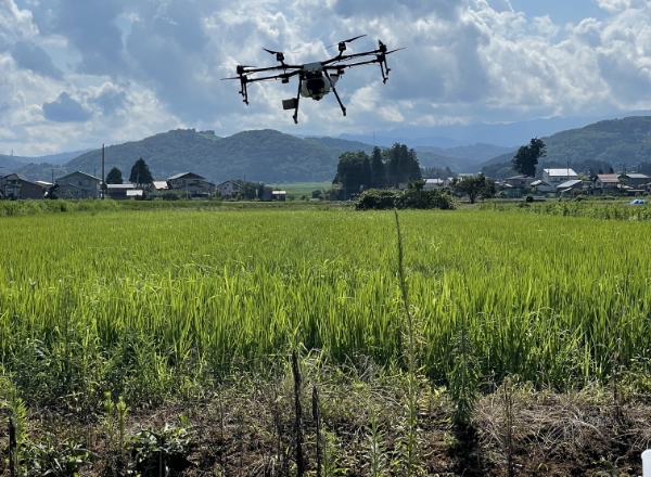 ５. 施肥（追肥）