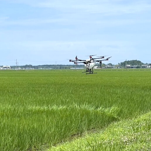 ドローンで肥料や農薬散布の様子