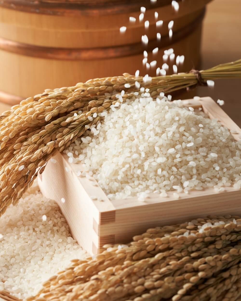 新潟県上越市産コシヒカリ