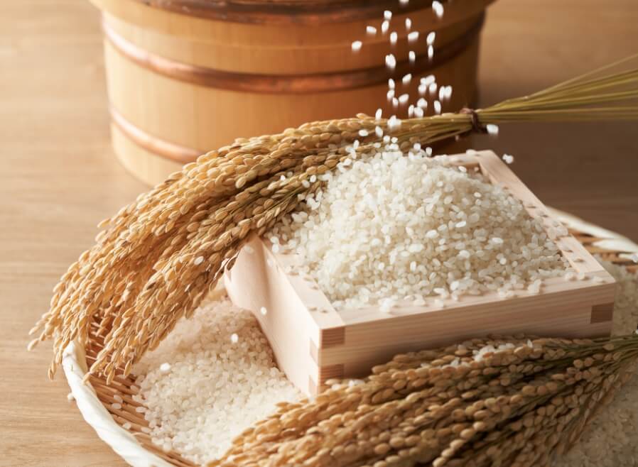 新潟県 上越市産のお米